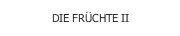 DIE FRÜCHTE II